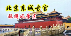 你的鸡巴好大,我要喷了,小穴好爽,亲我视频中国北京-东城古宫旅游风景区